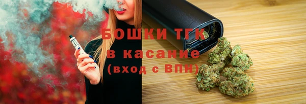стафф Вязьма