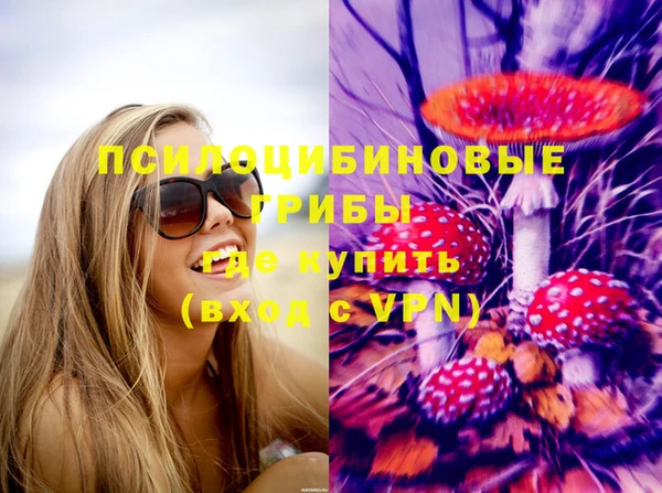 стафф Вязьма