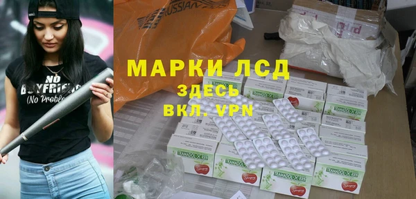 apvp Вяземский