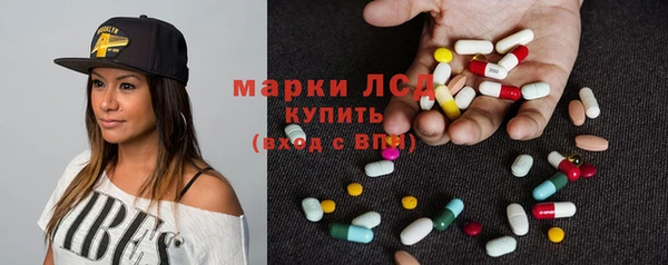 стафф Вязьма