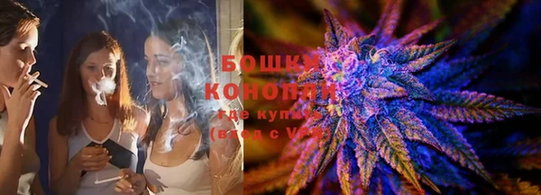 стафф Вязьма
