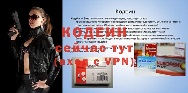 apvp Вяземский