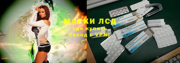 apvp Вяземский