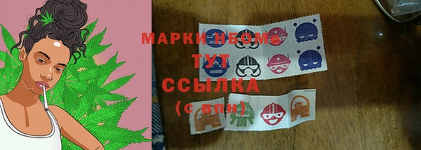 стафф Вязьма