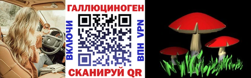 Псилоцибиновые грибы MAGIC MUSHROOMS Демидов